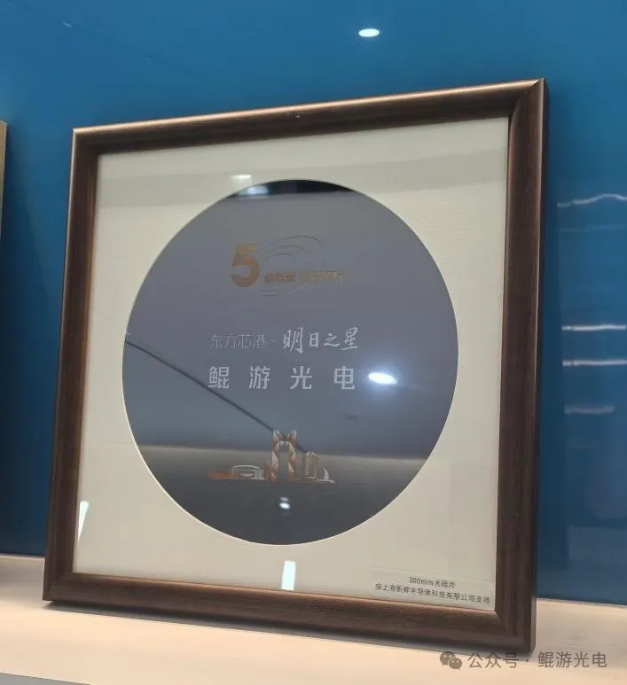 “东方芯港·明日之星”奖项-2.png